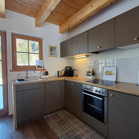 Tauerndorf Enzingerboden Ski In&Out - Steinbock Lodges מראה חיצוני תמונה